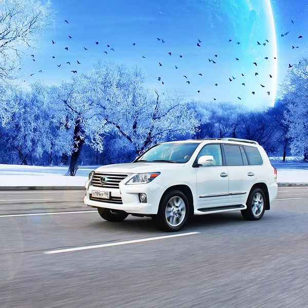 赌博应用老虎机